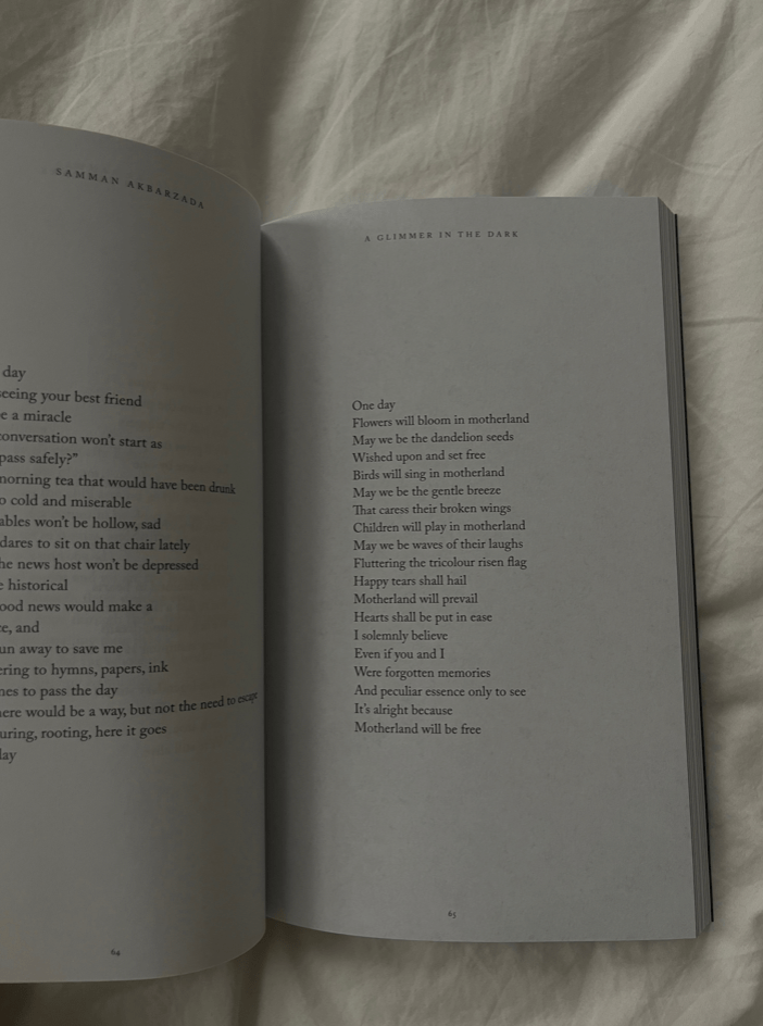 A Glimmer In The Dark - book - The Aegean Aviary