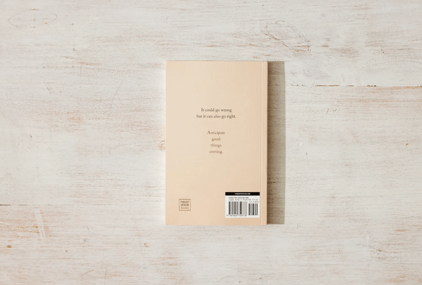 Anticipate Good Things Coming - book - The Aegean Aviary