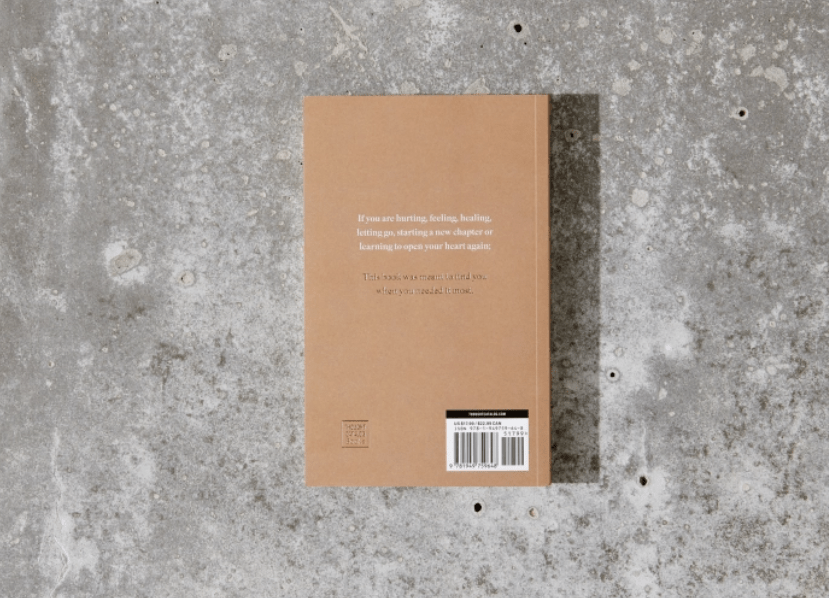 This Was Meant To Find You (When You Needed It Most) - book - The Aegean Aviary