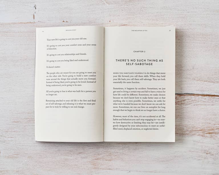 The Mountain Is You - book - The Aegean Aviary